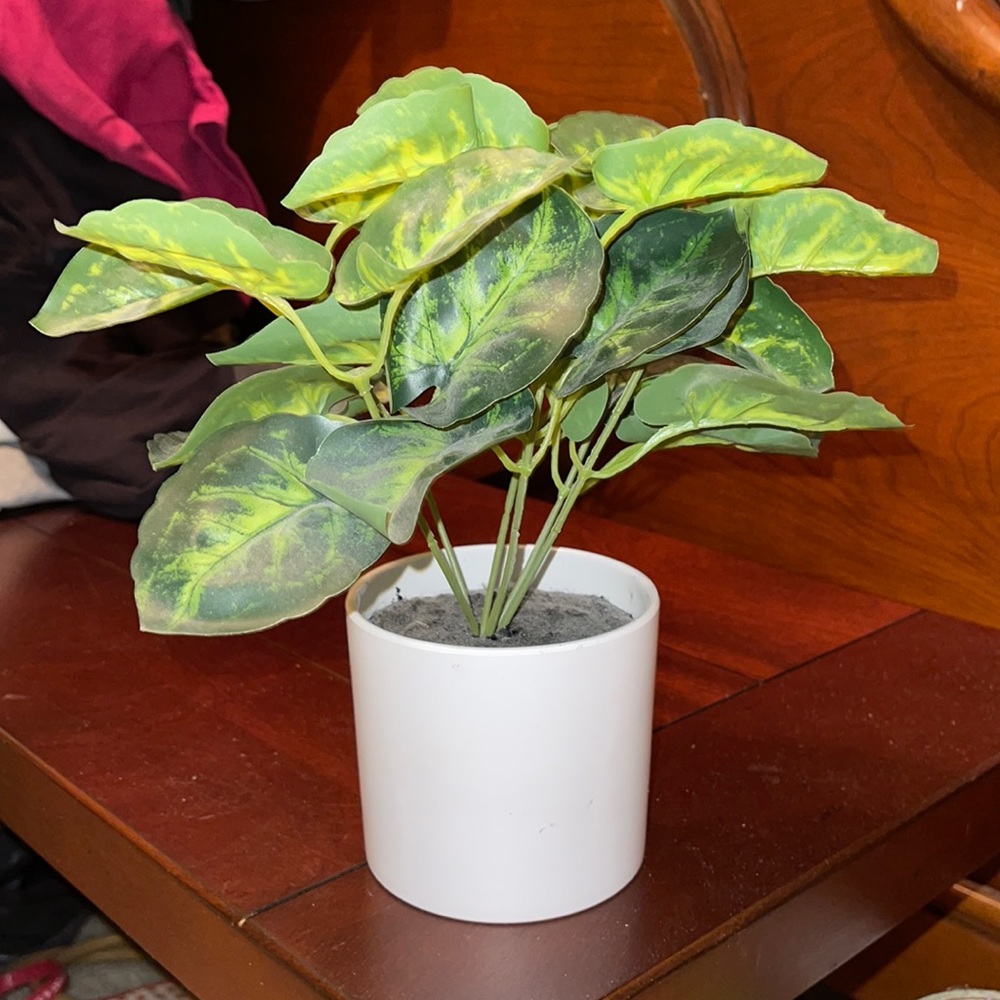 Fake plant home decor